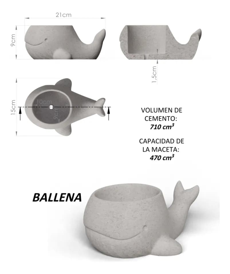 Molde Ballena