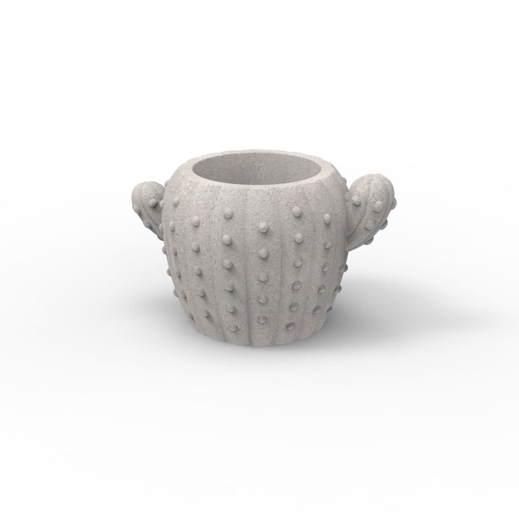 Molde Cactus