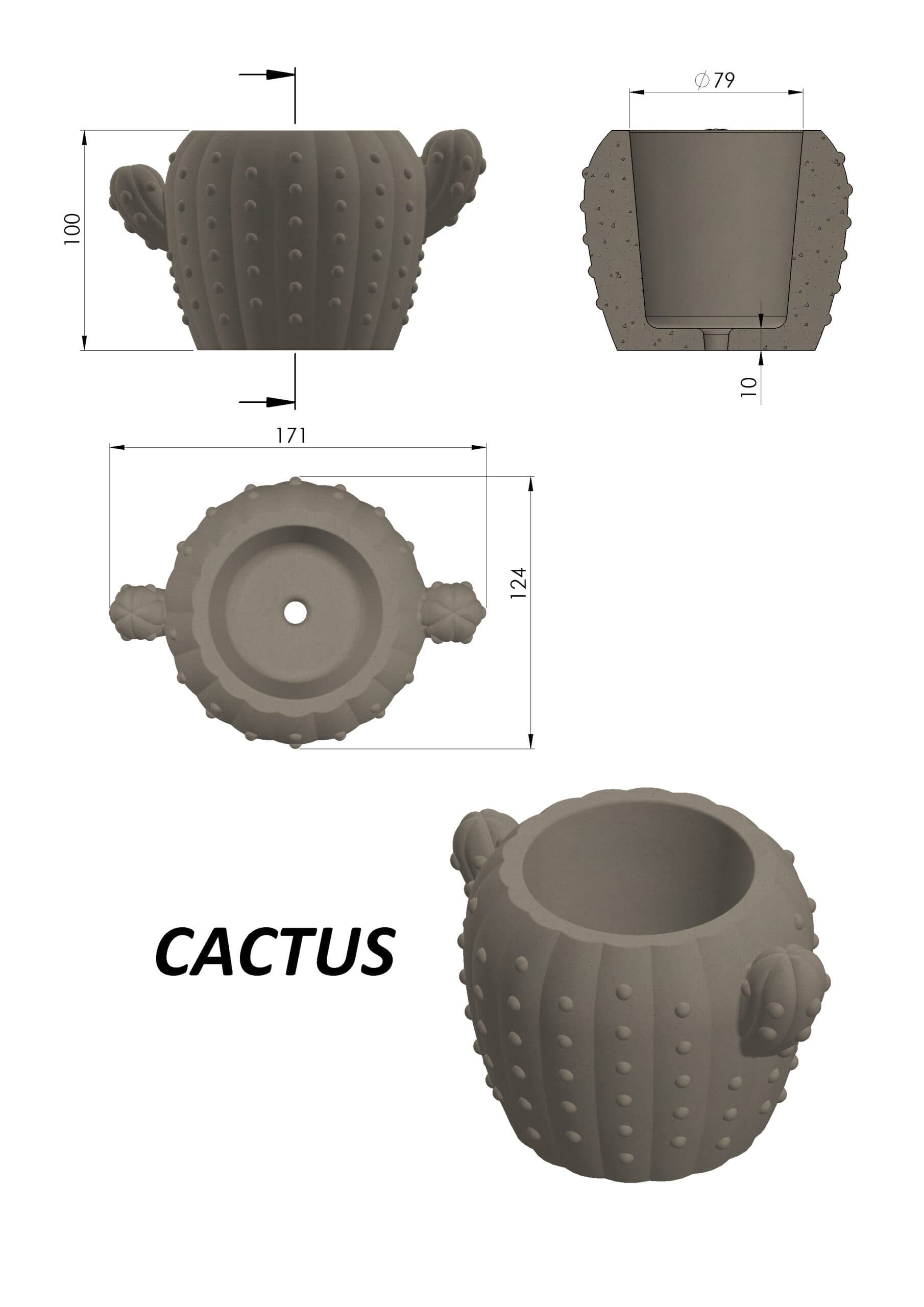 Molde Cactus