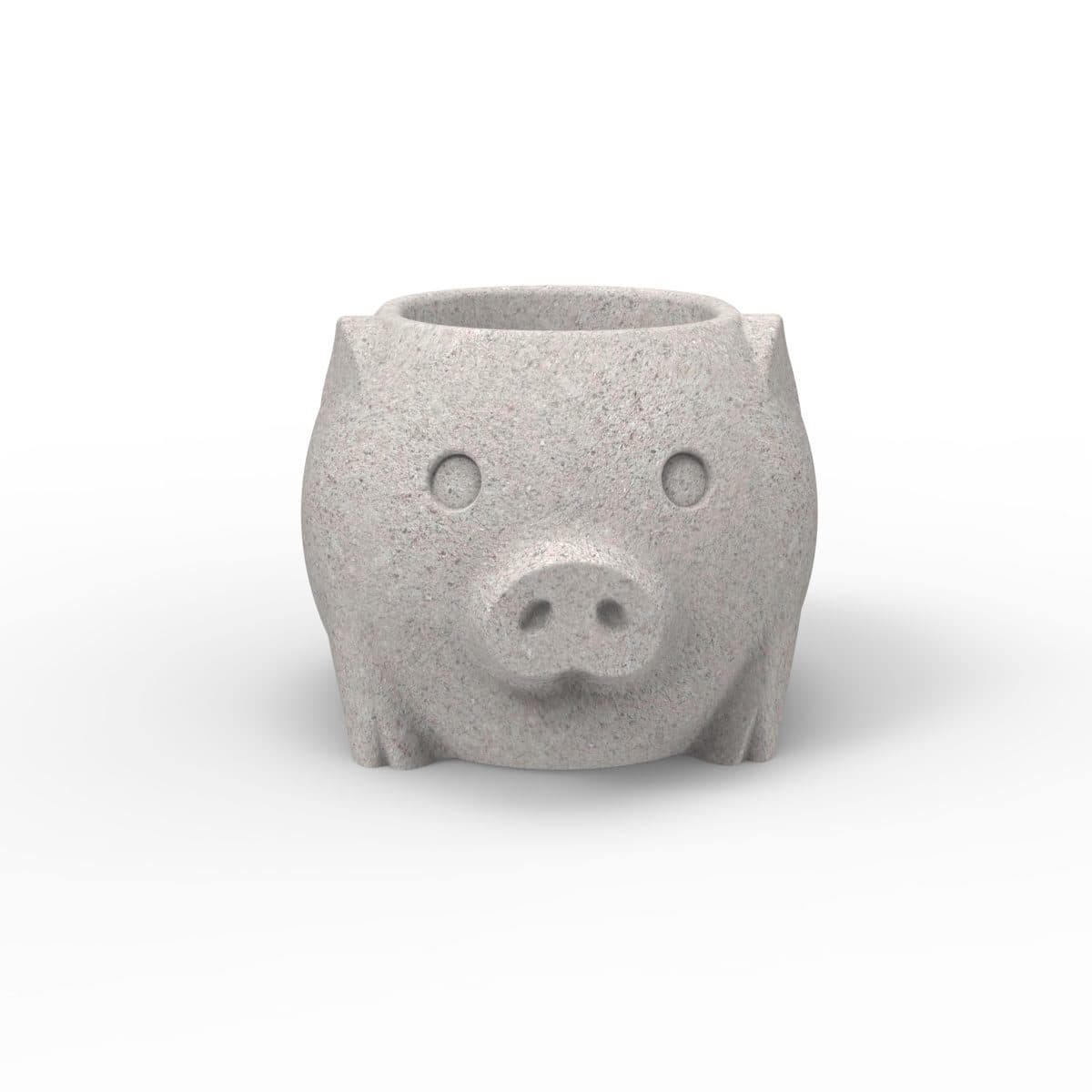 Molde Chancho