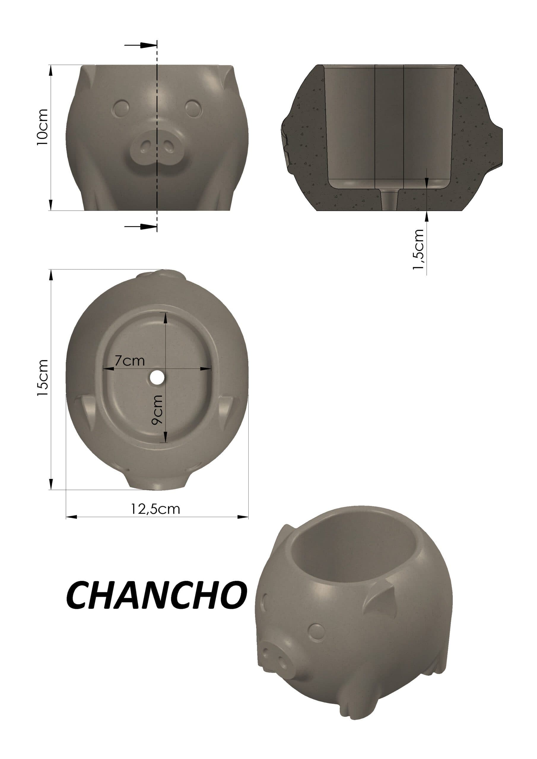 Molde Chancho