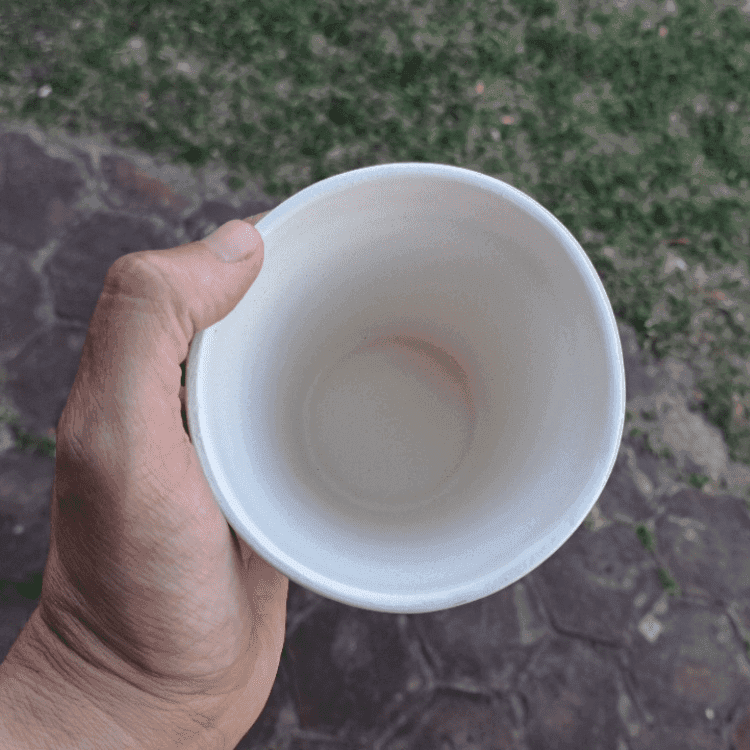 Bizcocho Cerámico D-019A Maceta Clásica Mediana con Hueco
