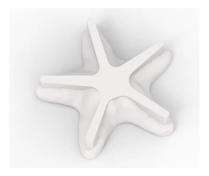 Molde Estrella CONICET