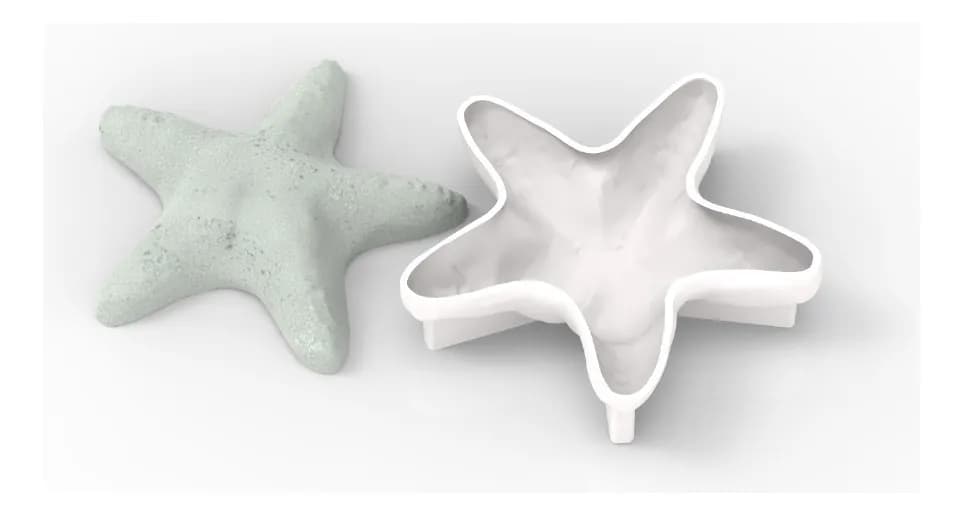 Molde Estrella CONICET