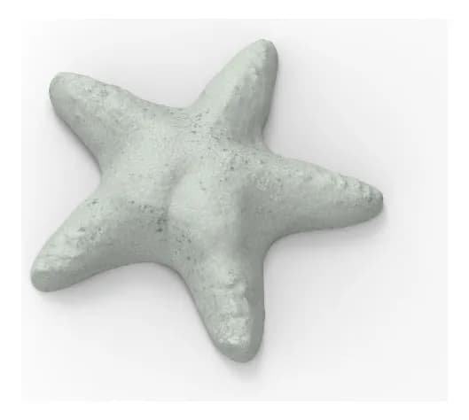 Molde Estrella CONICET