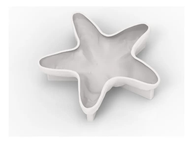 Molde Estrella CONICET