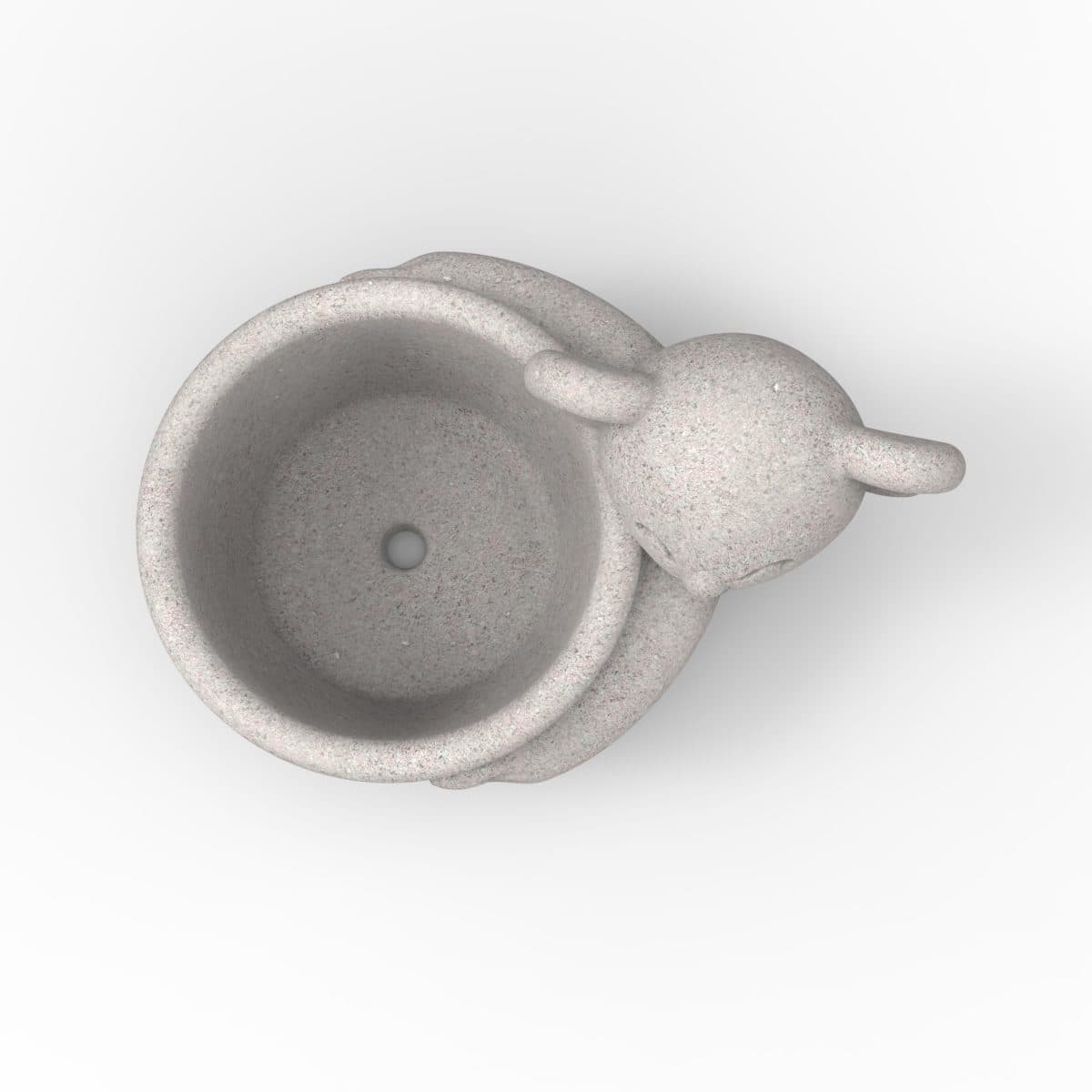 Molde Koala