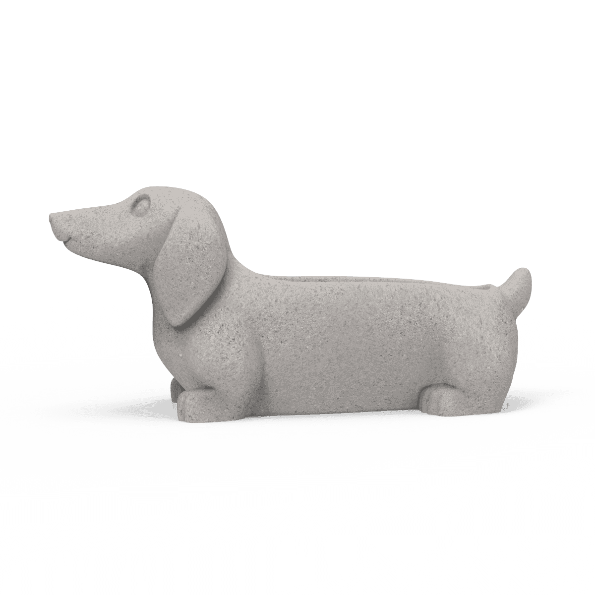 Molde Perro Salchicha