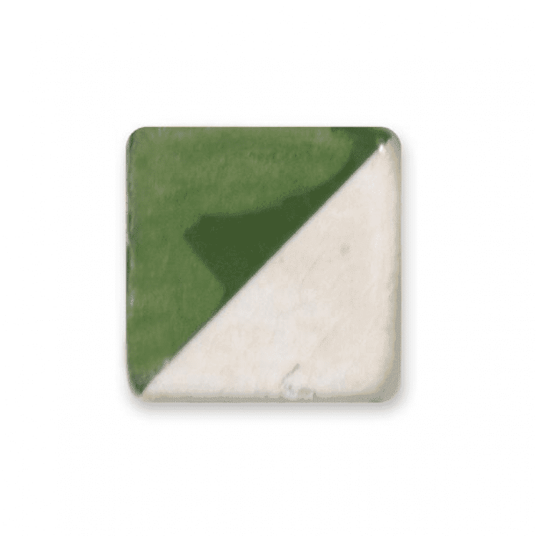 Pigmento Verde Cromo 698 Carbany 25gr