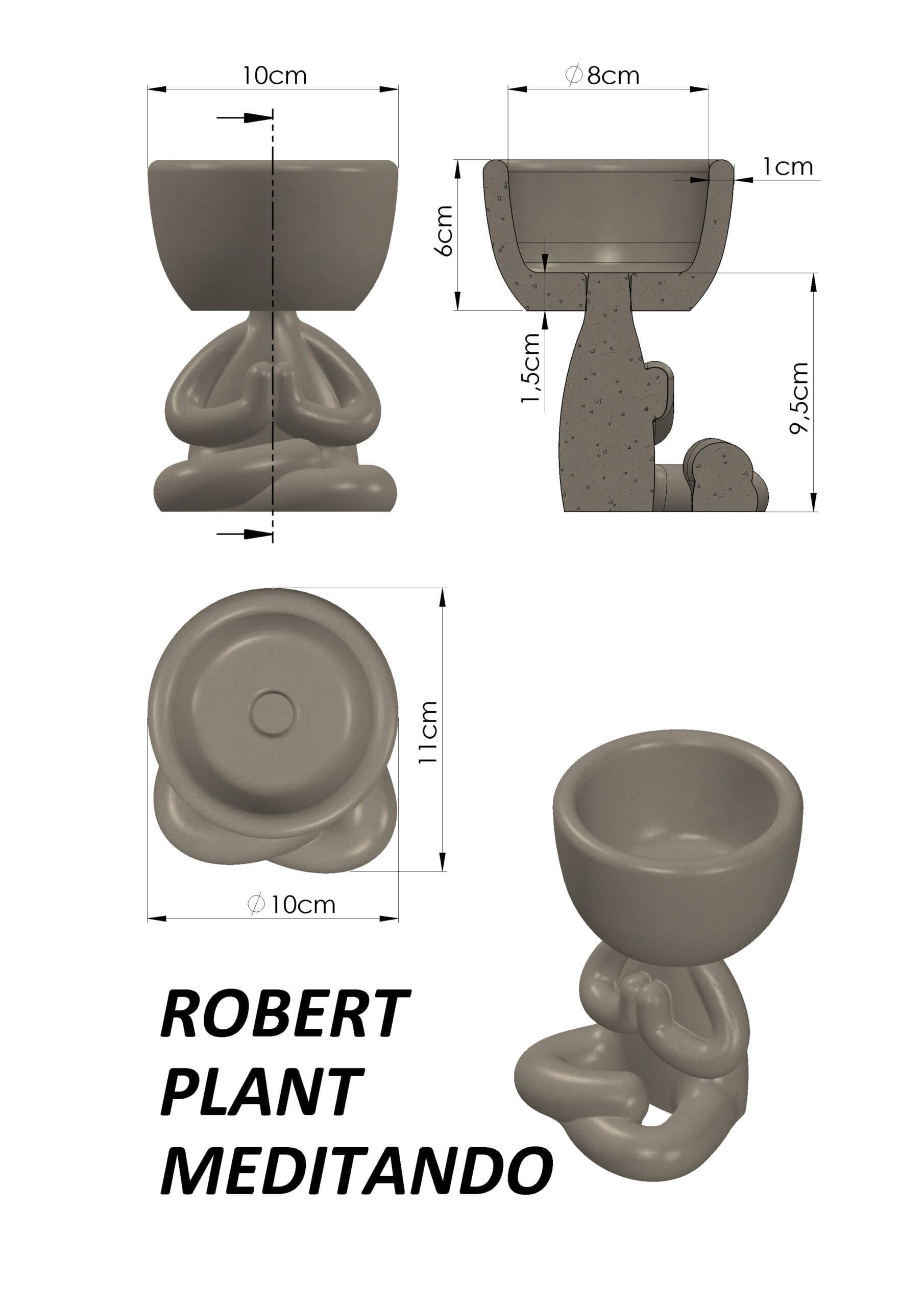 Molde Cuerpo Robert Plant