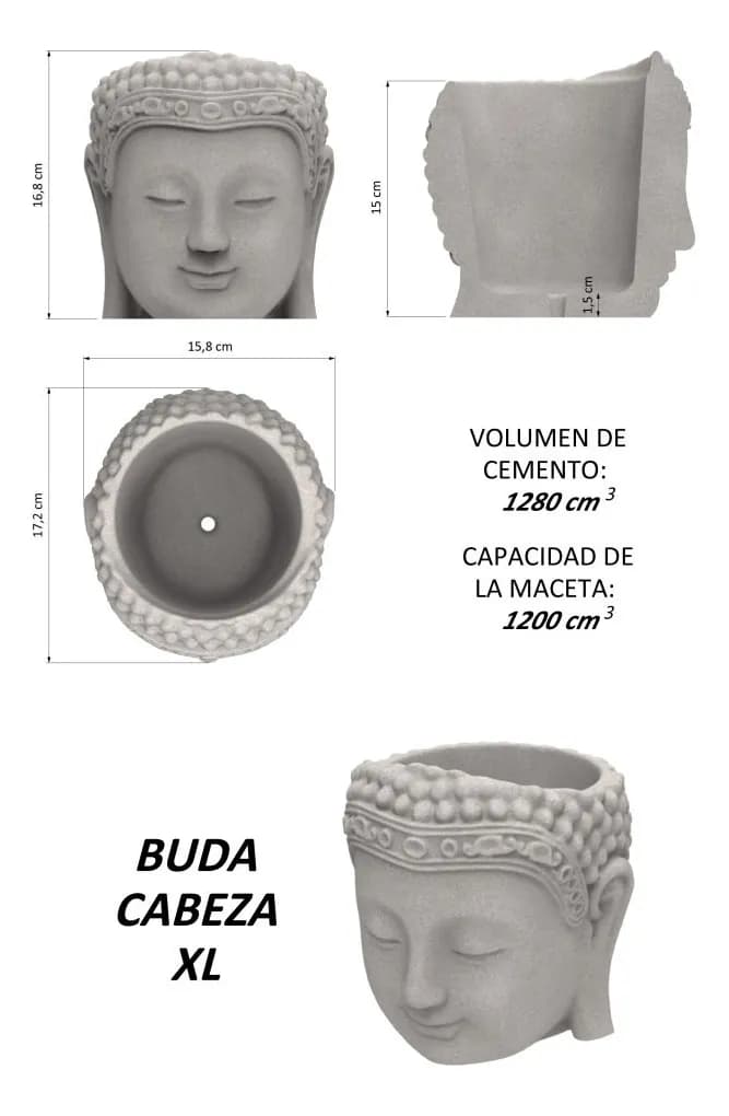 Molde Buda