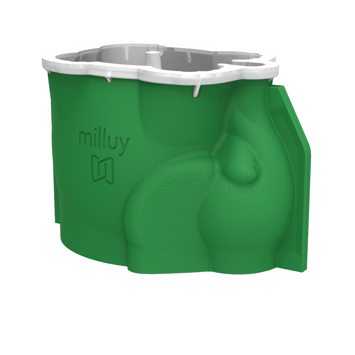 Molde Elefante